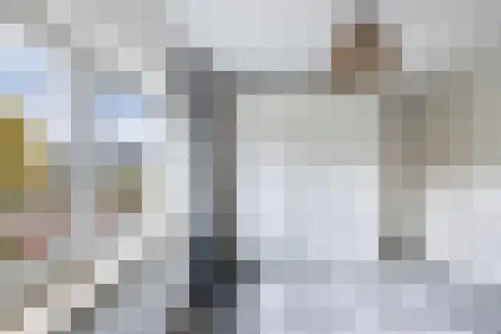 Roerstraat 9 Emmeloord thumbnail 25