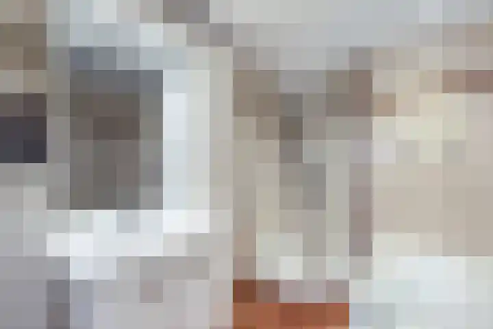Roerstraat 9 Emmeloord thumbnail 32