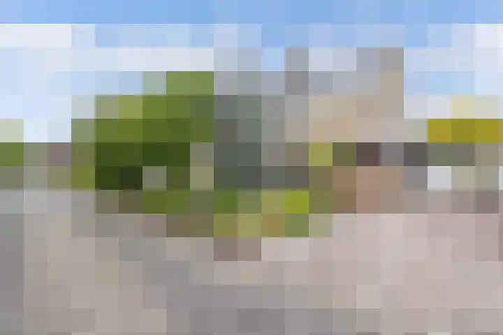 Roerstraat 9 Emmeloord thumbnail 4