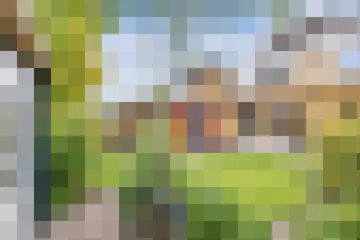 Roerstraat 9 Emmeloord thumbnail 48