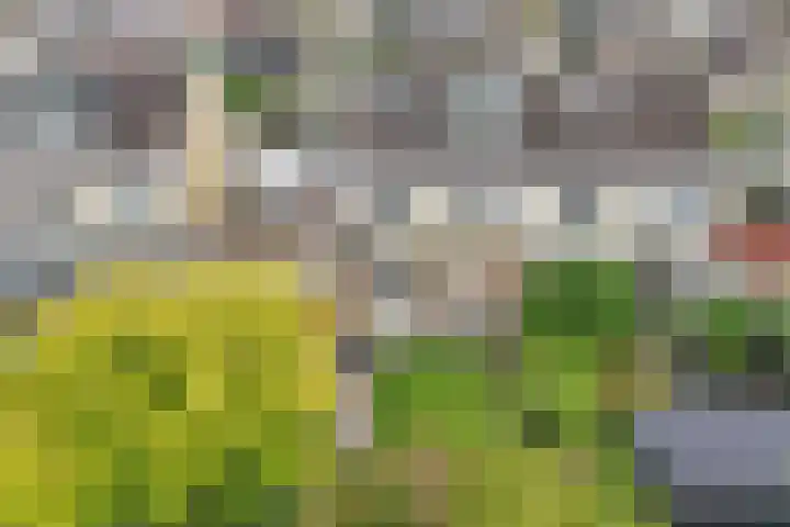 Roerstraat 9 Emmeloord thumbnail 51