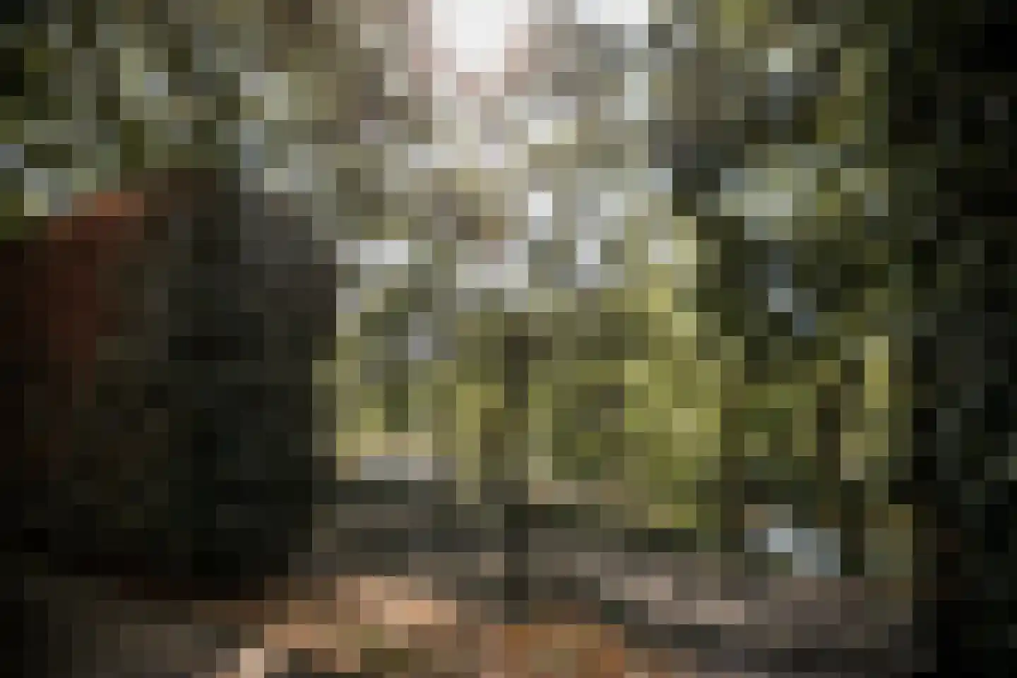 Roerzicht 9 Roermond thumbnail 10