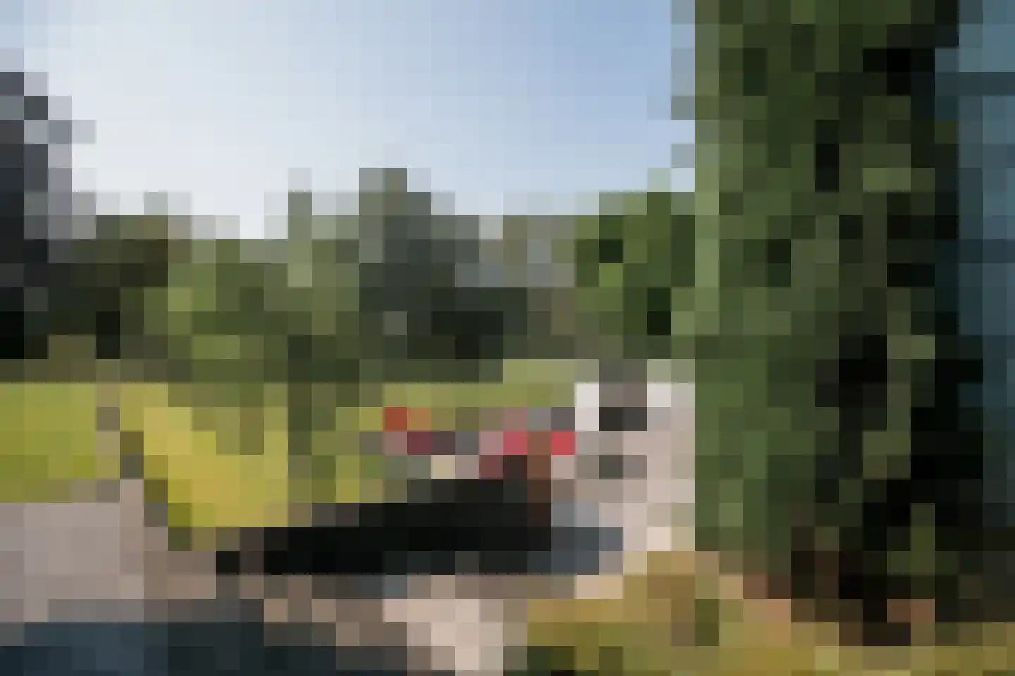 Roerzicht 9 Roermond thumbnail 11