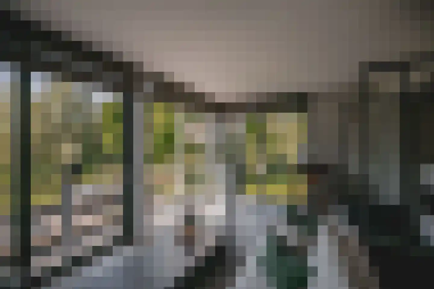 Roerzicht 9 Roermond thumbnail 12