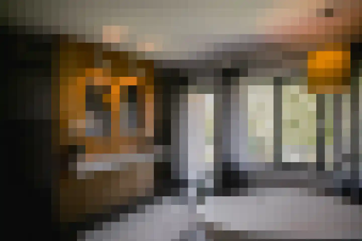 Roerzicht 9 Roermond thumbnail 18