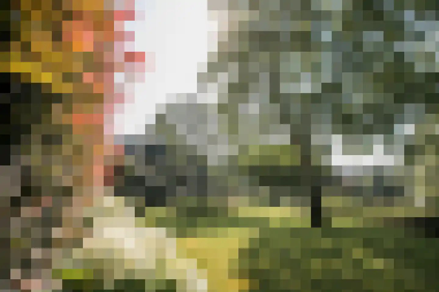 Roerzicht 9 Roermond thumbnail 4