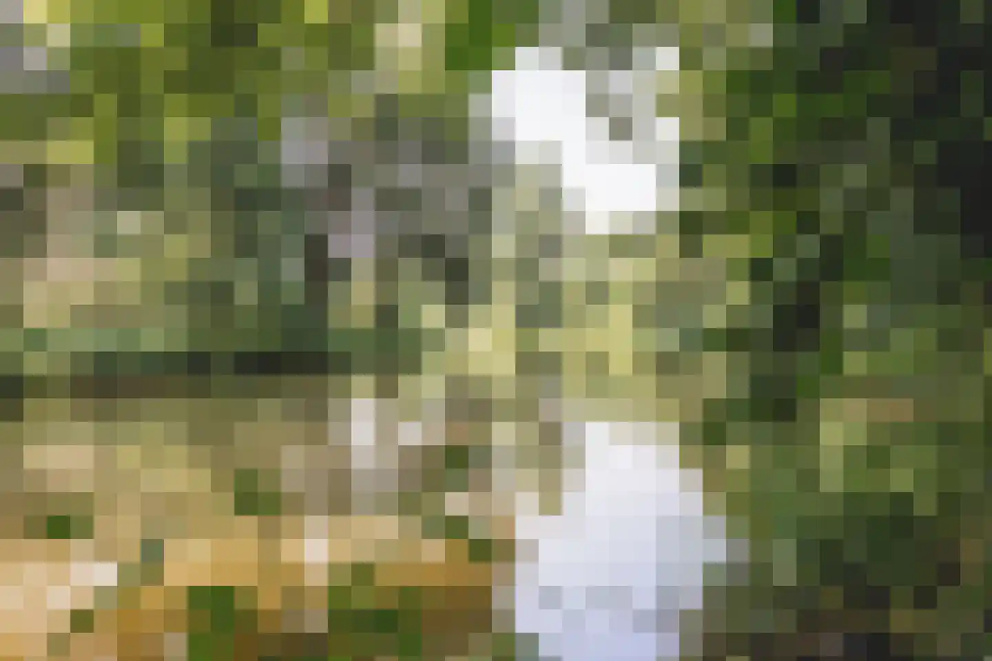Roerzicht 9 Roermond thumbnail 6