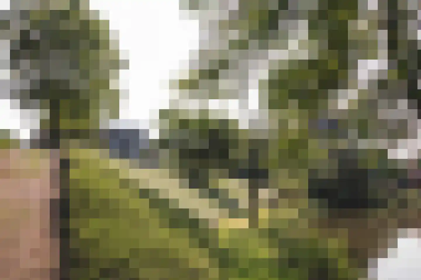 Roerzicht 9 Roermond thumbnail 8
