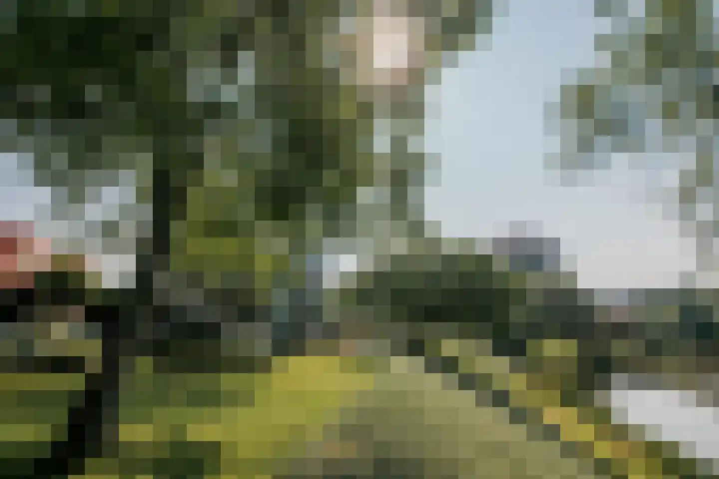 Roerzicht 9 Roermond thumbnail 9