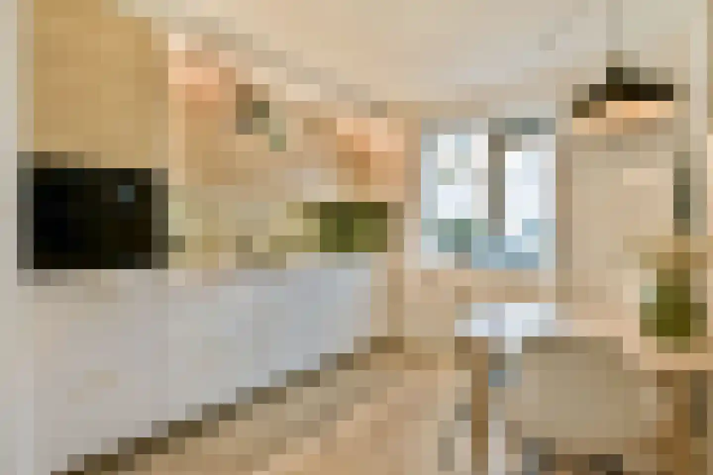 Roeselarestraat 27 Amsterdam thumbnail 7