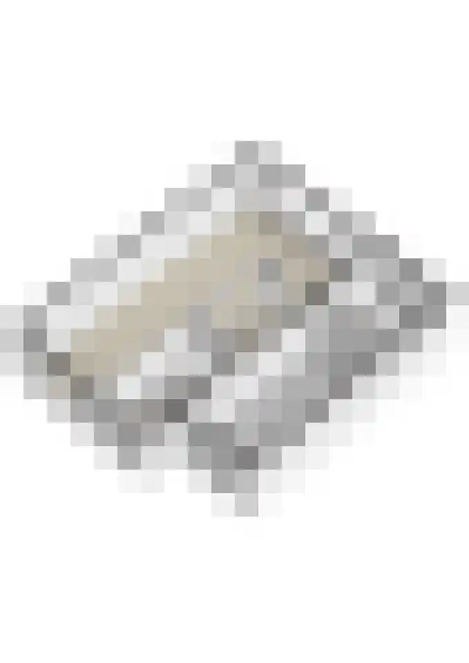 Roeselarestraat 49 Breda thumbnail 37