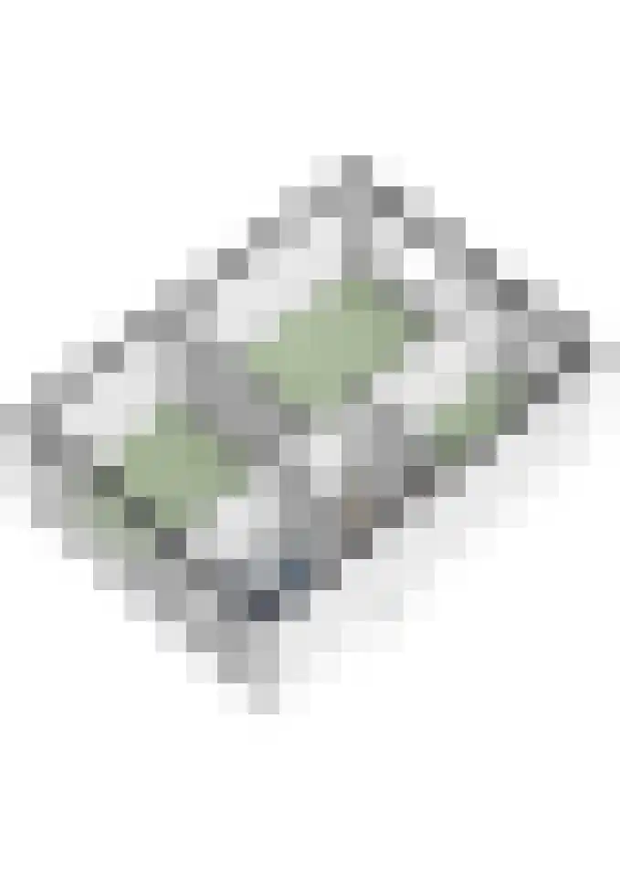 Roeselarestraat 49 Breda thumbnail 38