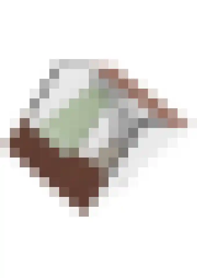 Roeselarestraat 49 Breda thumbnail 39