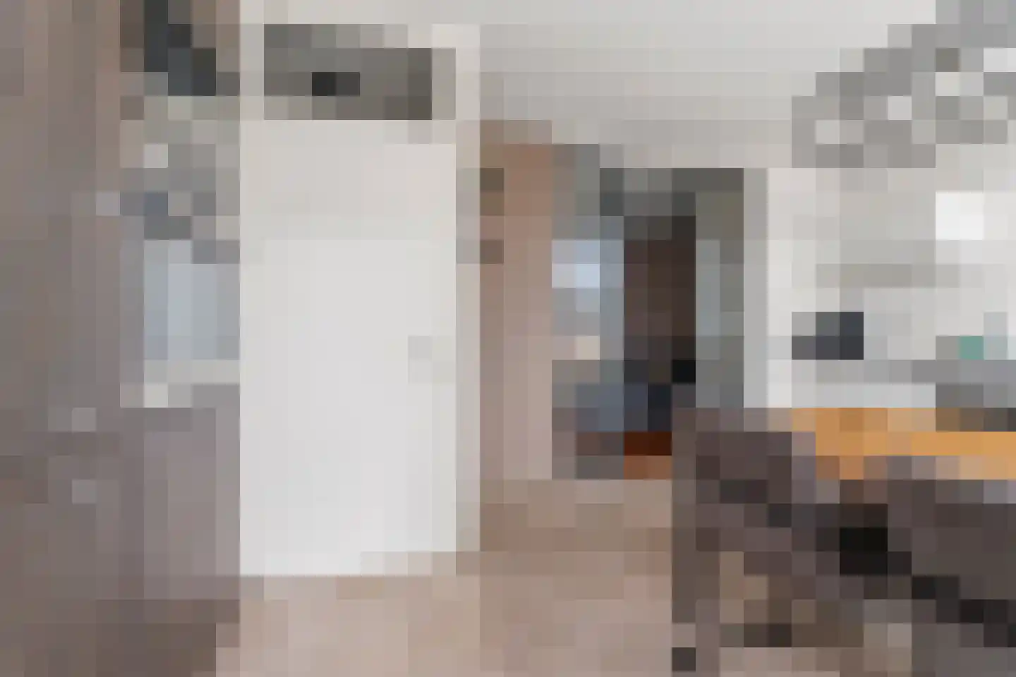 Roesmontstraat 10 Sint-Oedenrode thumbnail 15