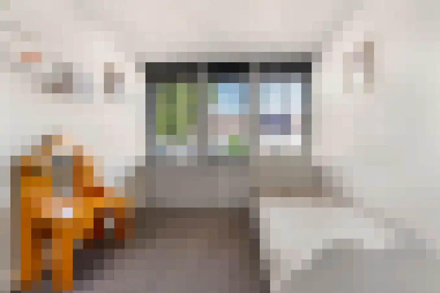 Roesmontstraat 11 Sint-Oedenrode thumbnail 24