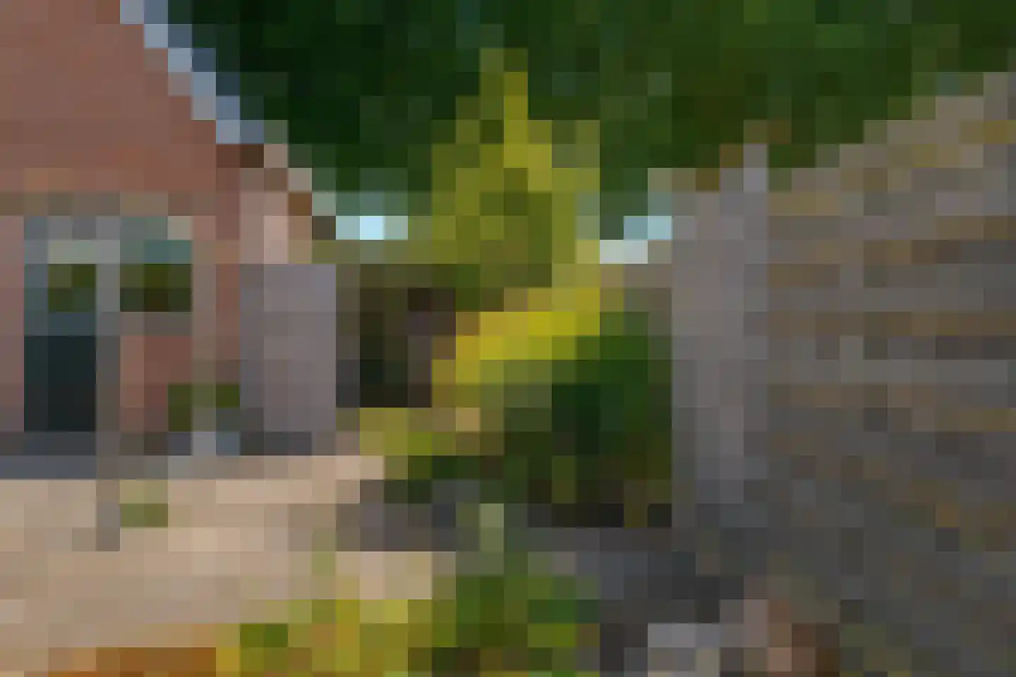Roessinghkamplaan 10 Westerbork thumbnail 26