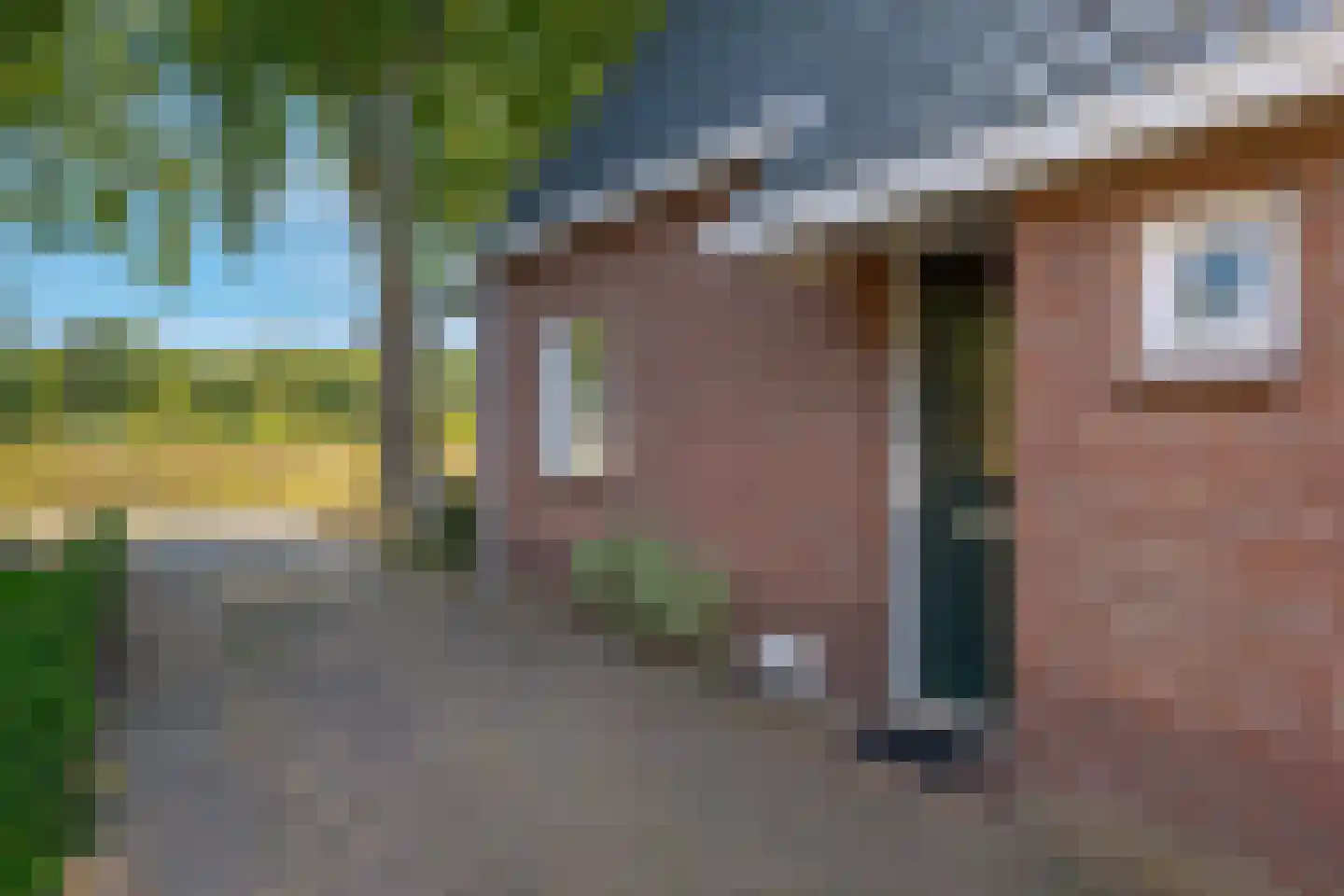 Roessinghkamplaan 10 Westerbork thumbnail 8