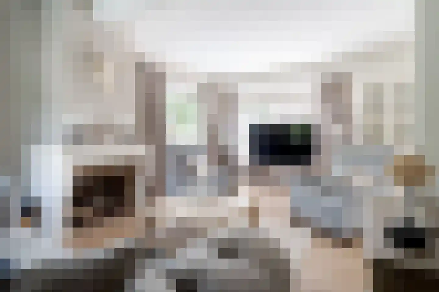 Roessinghkamplaan 16 Westerbork thumbnail 9