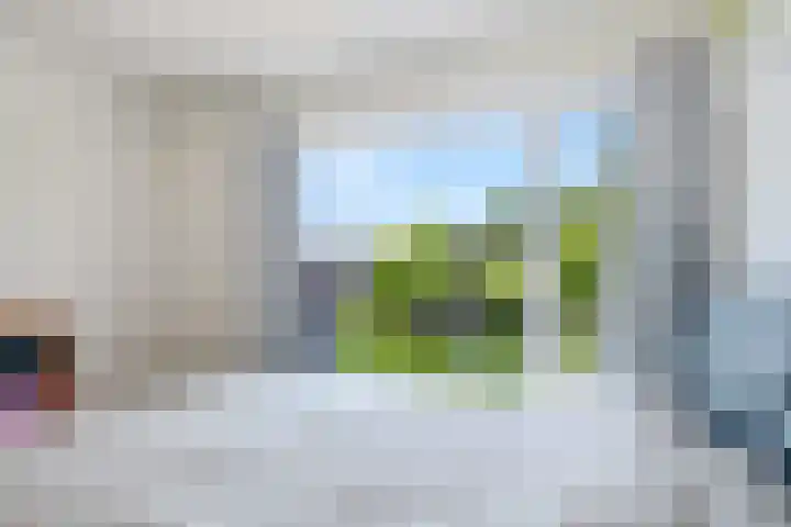 Roessinghsbleekweg 100 Enschede thumbnail 21