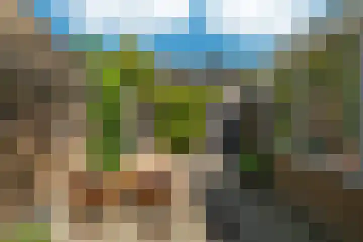 Roessinghsbleekweg 100 Enschede thumbnail 32