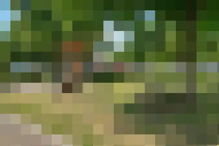 Roessinghsbleekweg 100 Enschede thumbnail 37