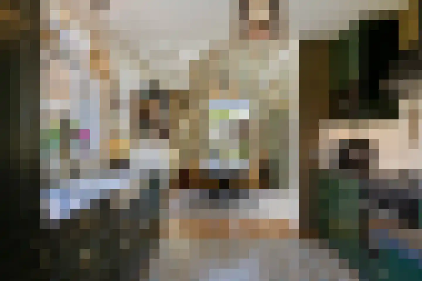 Roessinksweg 39 Deventer thumbnail 12