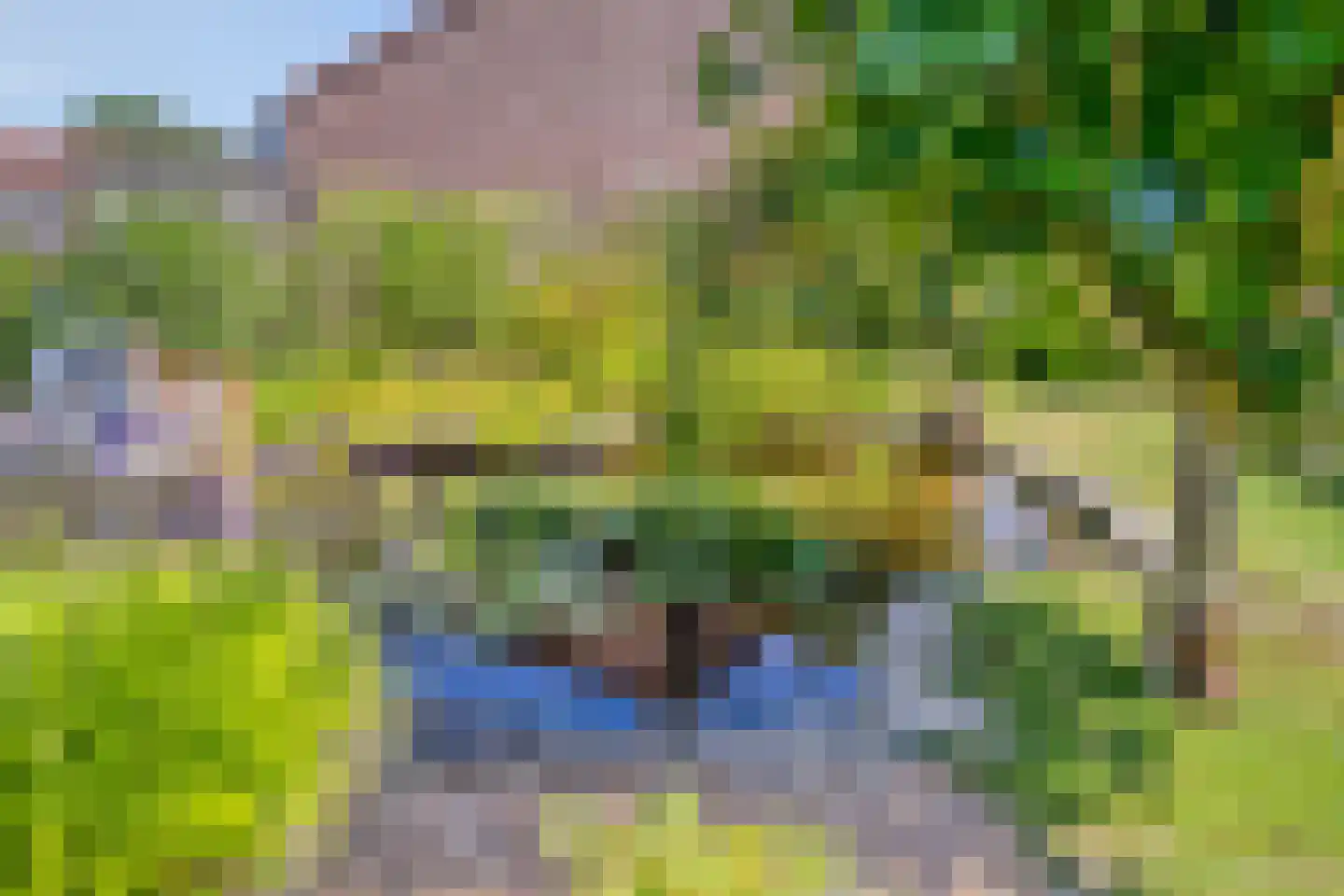 Roessinksweg 39 Deventer thumbnail 32