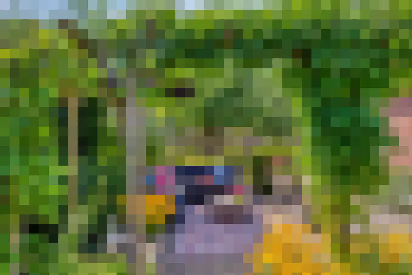 Roessinksweg 39 Deventer thumbnail 35
