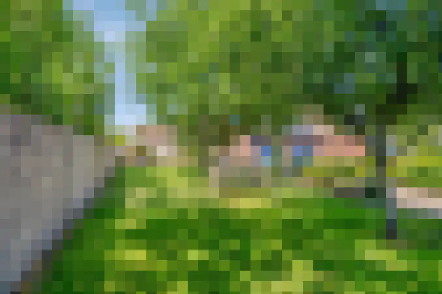 Roessinksweg 39 Deventer thumbnail 38