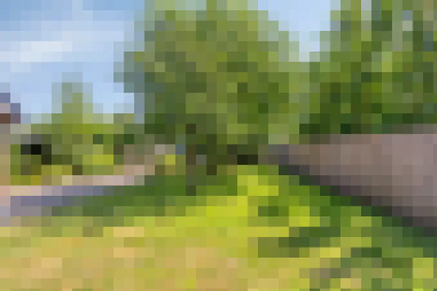 Roessinksweg 39 Deventer thumbnail 40