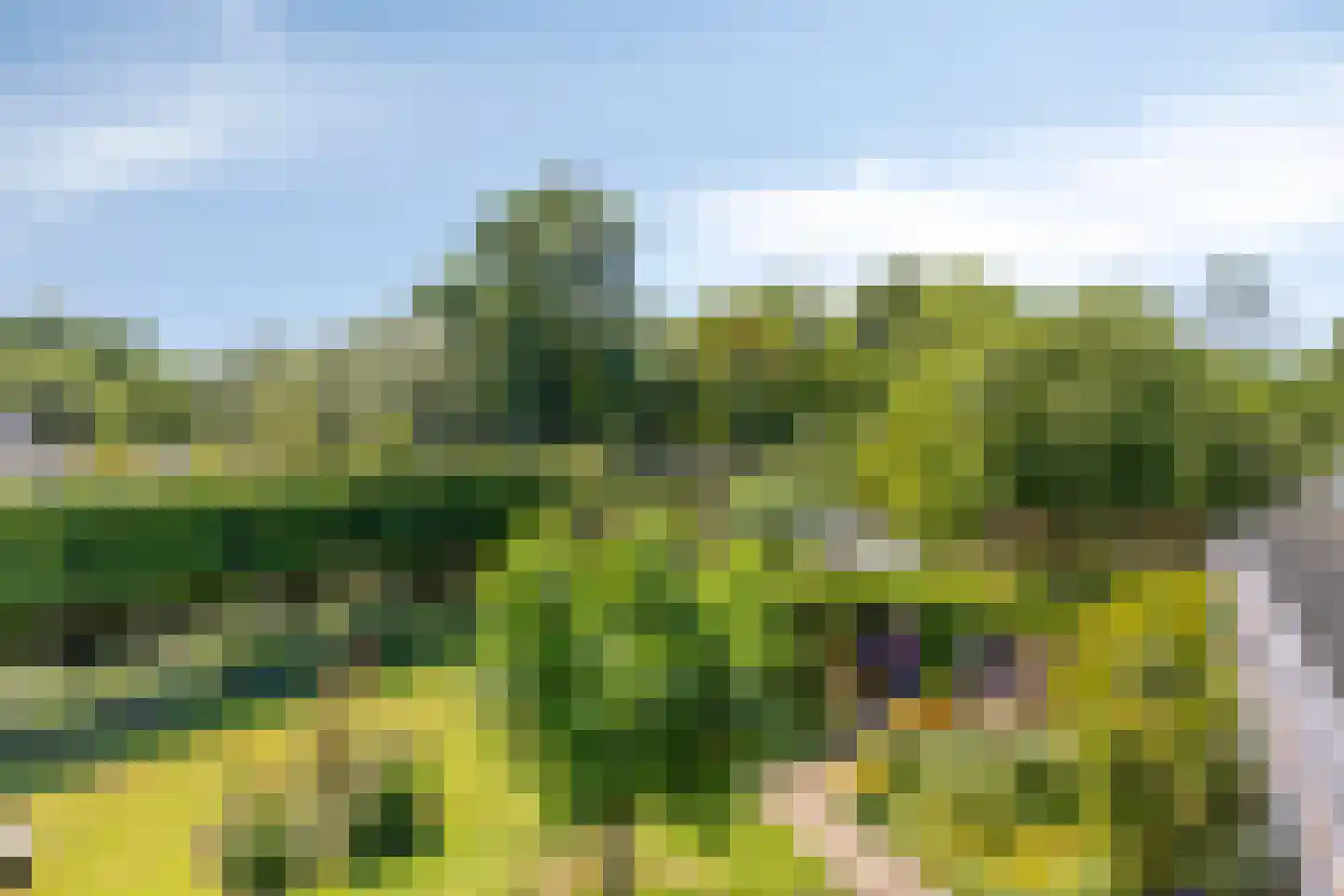 Roessinksweg 39 Deventer thumbnail 48