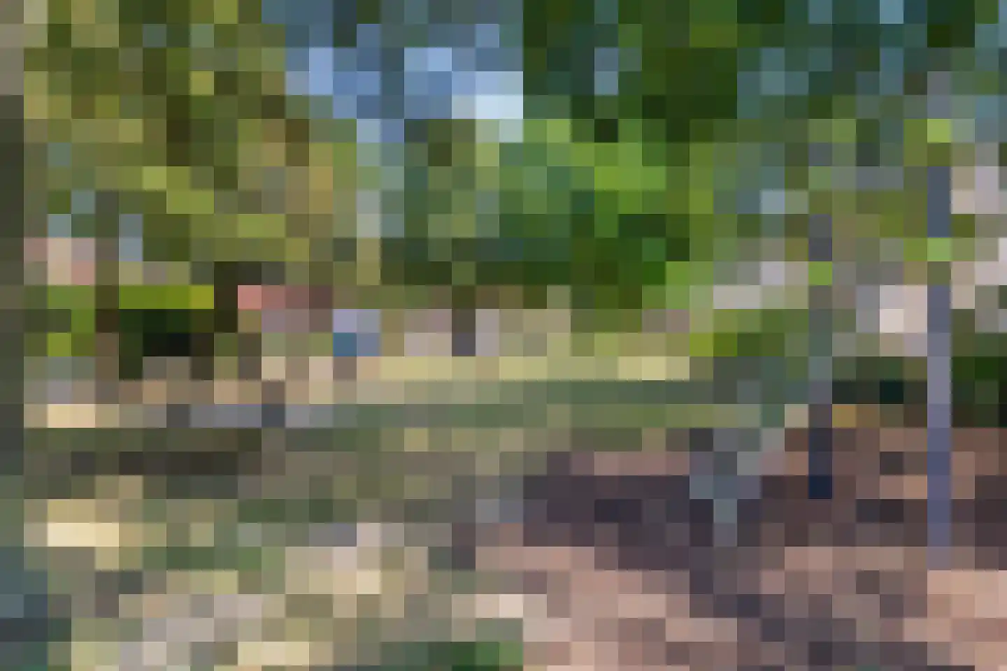 Roessinksweg 39 Deventer thumbnail 56