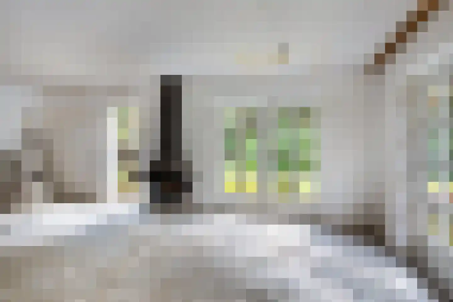 Roessinkweg 28 Hengelo (Gld) thumbnail 11