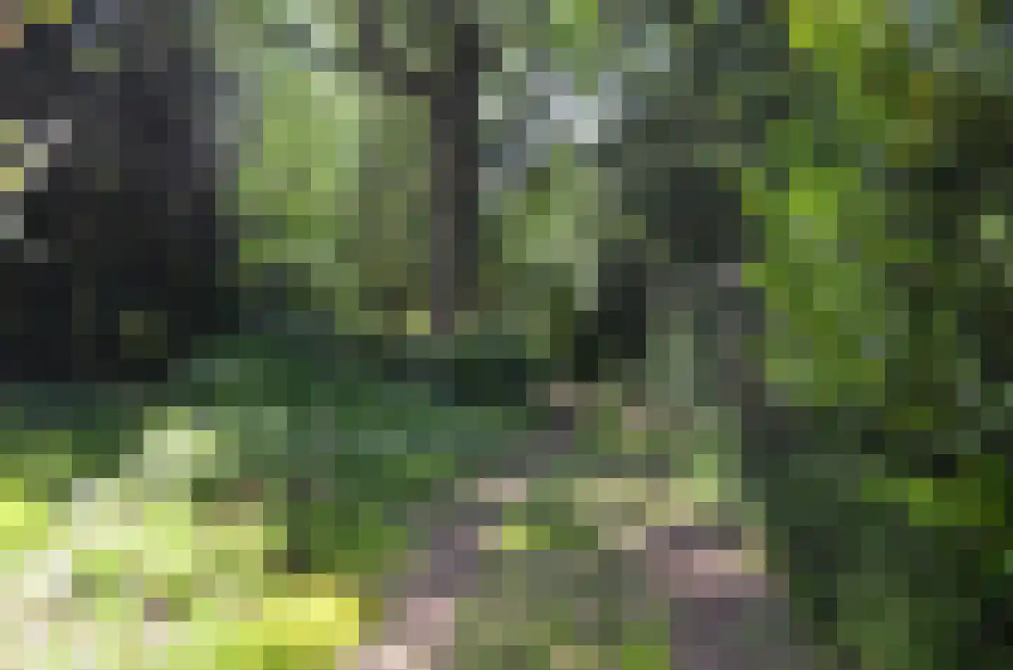 Roessinkweg 28 Hengelo (Gld) thumbnail 30