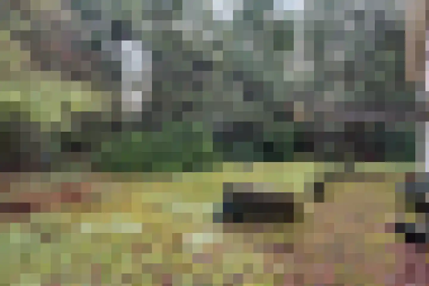 Roessinkweg 28 Hengelo (Gld) thumbnail 31