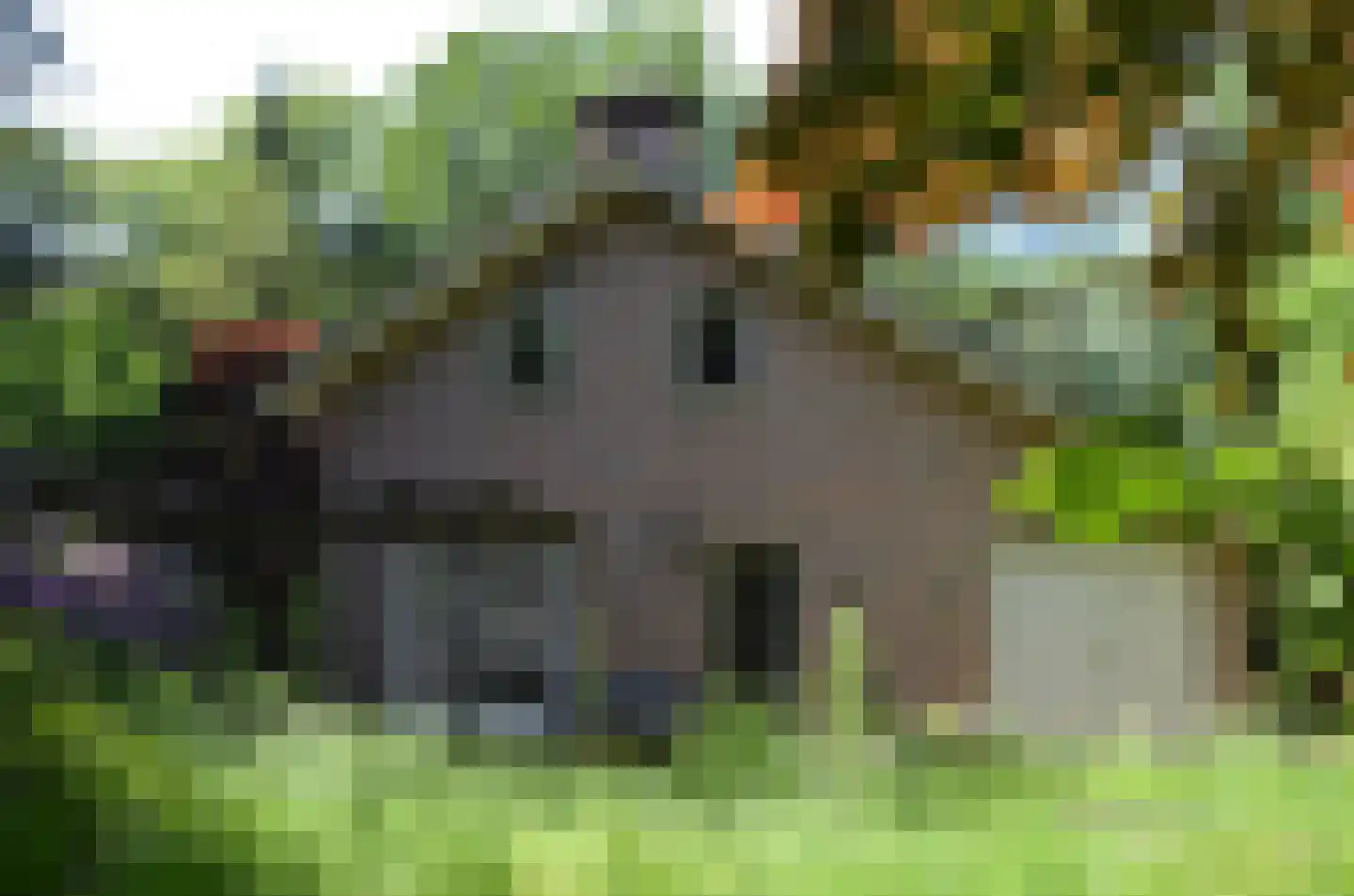 Roessinkweg 28 Hengelo (Gld) thumbnail 31