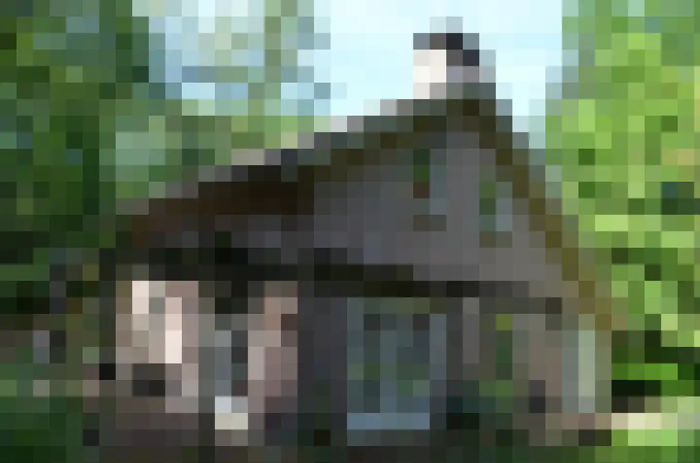 Roessinkweg 28 Hengelo (Gld) thumbnail 32