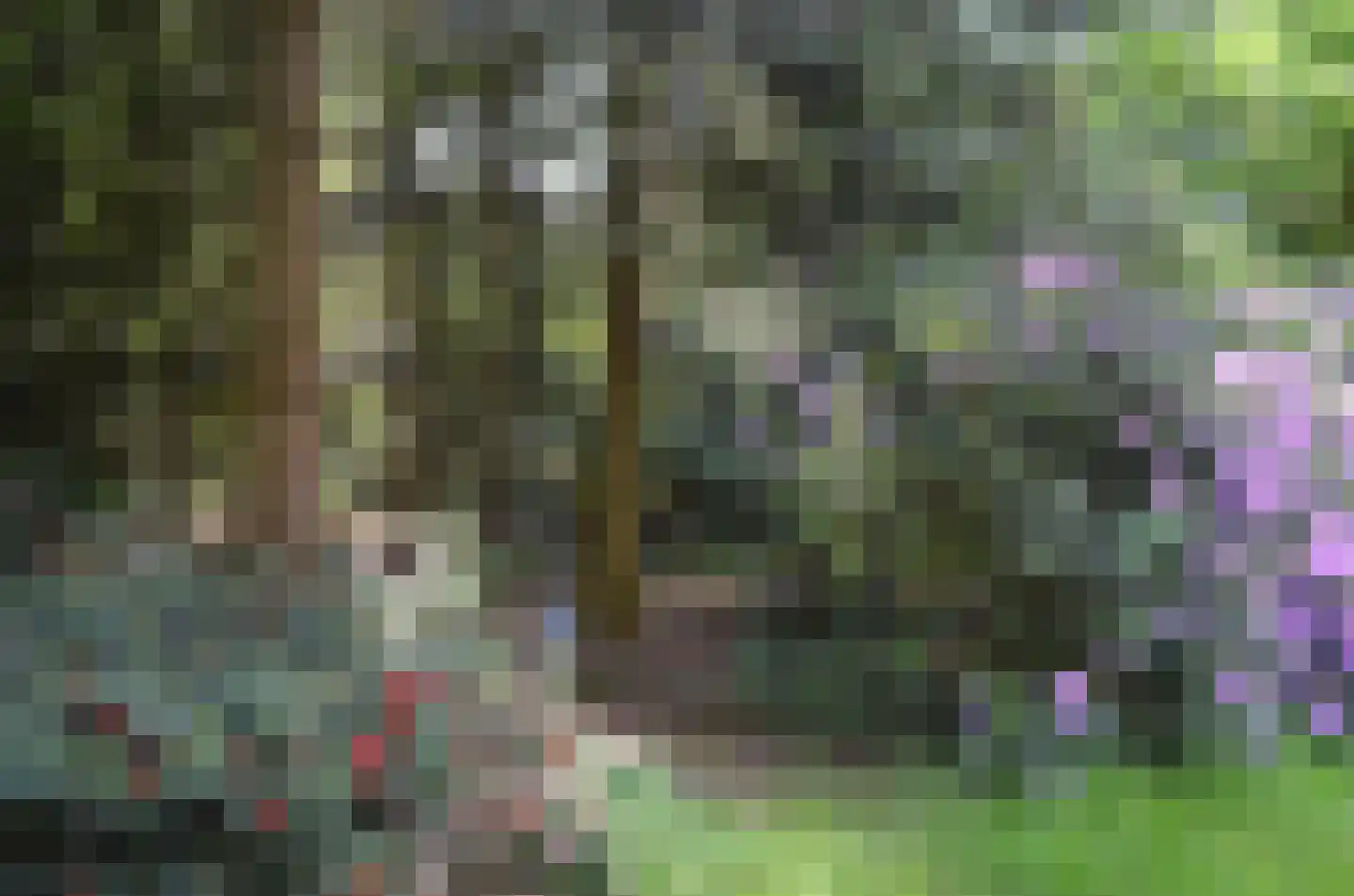 Roessinkweg 28 Hengelo (Gld) thumbnail 33
