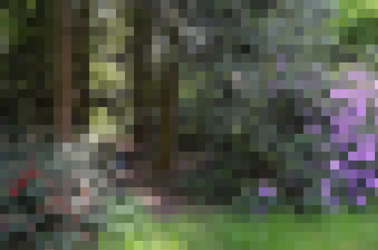 Roessinkweg 28 Hengelo (Gld) thumbnail 34