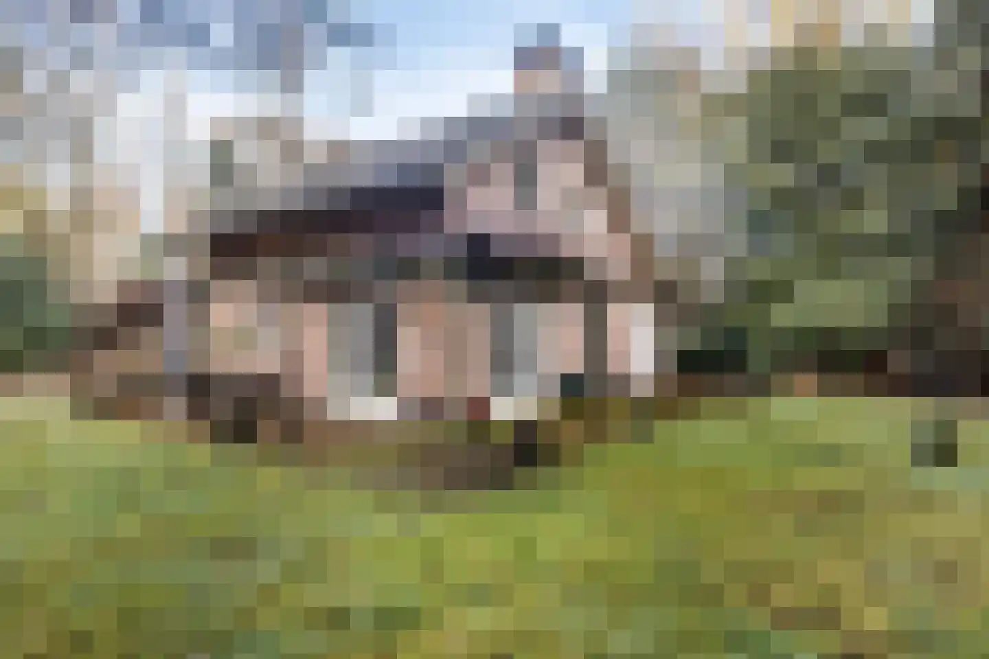 Roessinkweg 28 Hengelo (Gld) thumbnail 34
