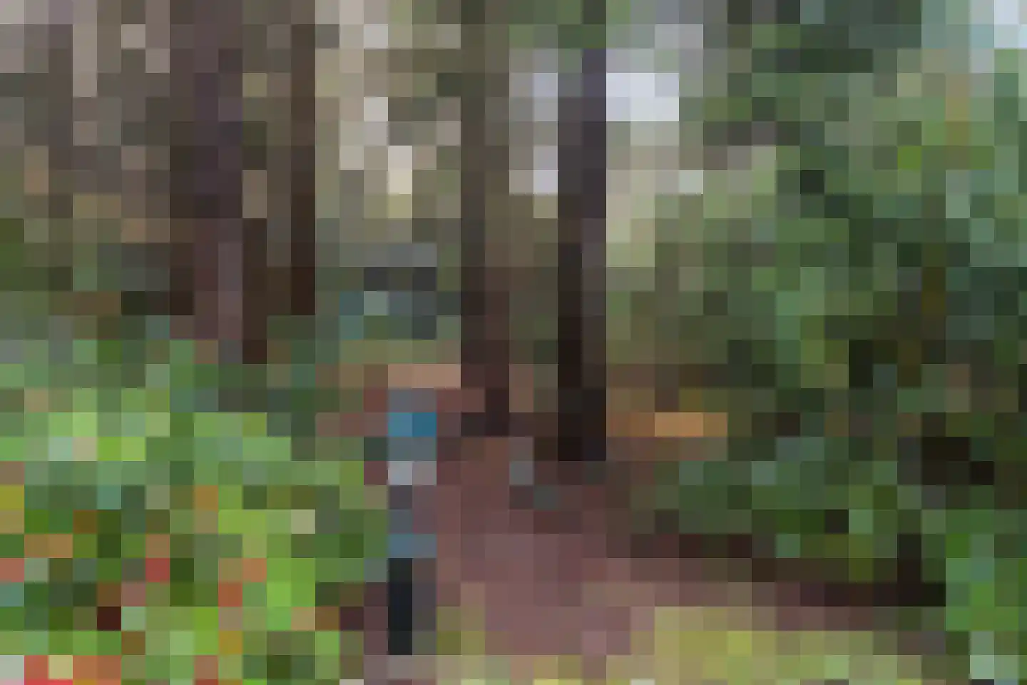 Roessinkweg 28 Hengelo (Gld) thumbnail 35