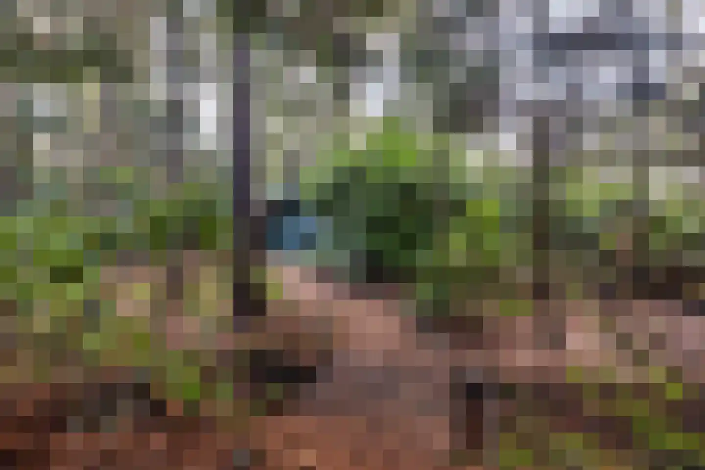 Roessinkweg 28 Hengelo (Gld) thumbnail 36