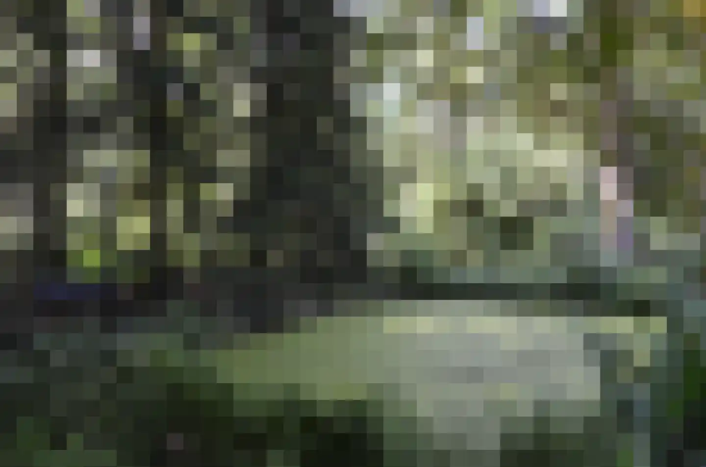 Roessinkweg 28 Hengelo (Gld) thumbnail 36