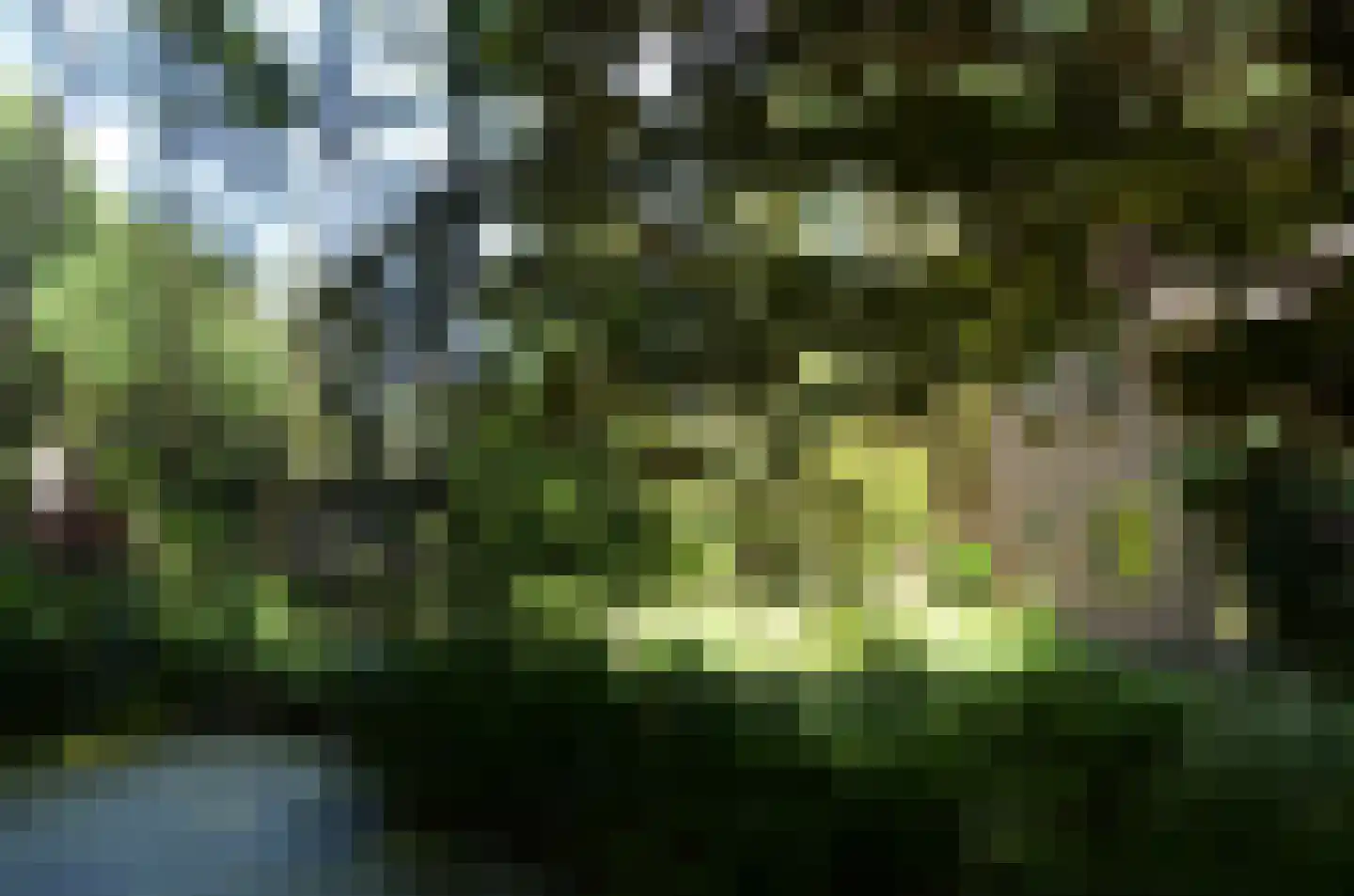 Roessinkweg 28 Hengelo (Gld) thumbnail 37