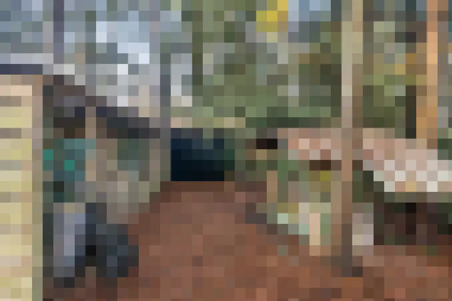 Roessinkweg 28 Hengelo (Gld) thumbnail 38
