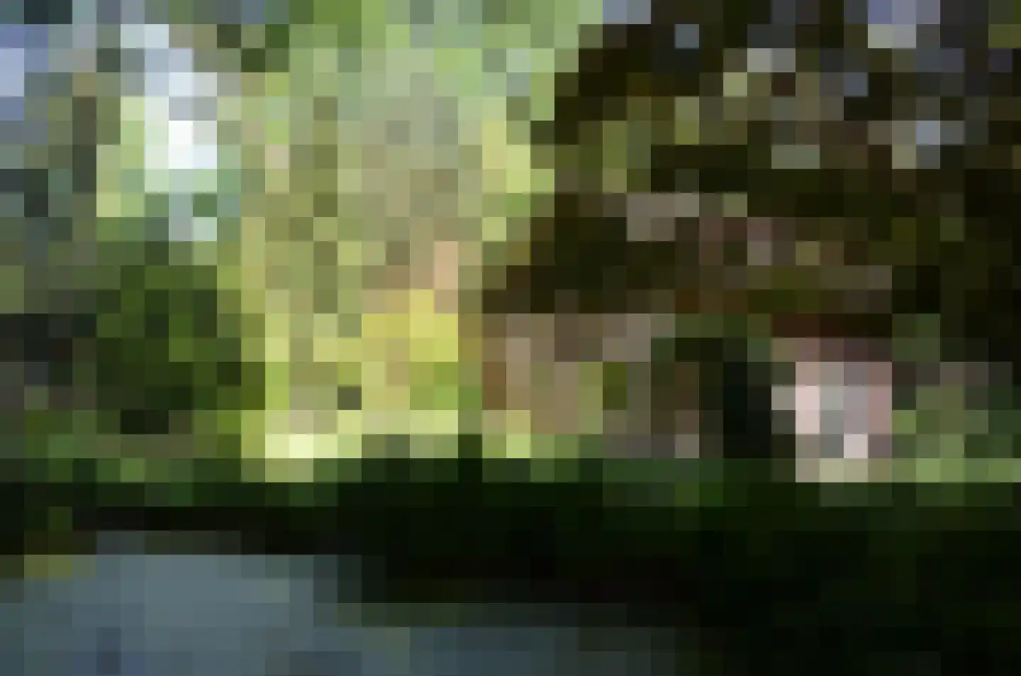 Roessinkweg 28 Hengelo (Gld) thumbnail 38