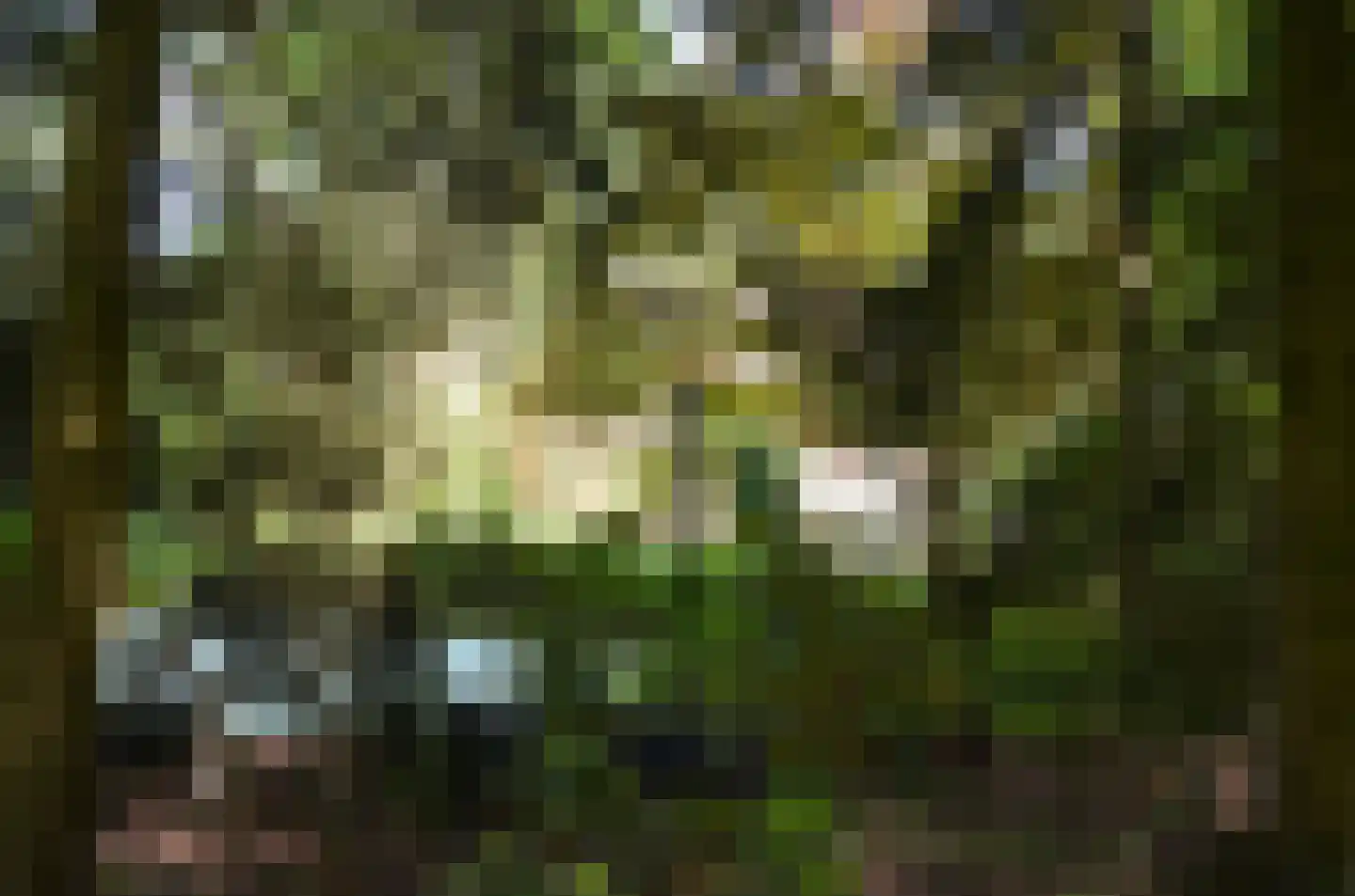 Roessinkweg 28 Hengelo (Gld) thumbnail 39