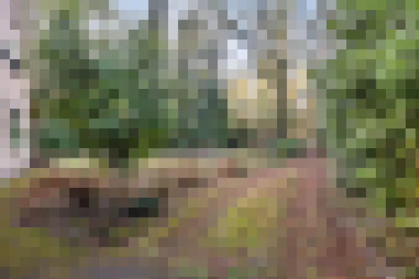 Roessinkweg 28 Hengelo (Gld) thumbnail 39