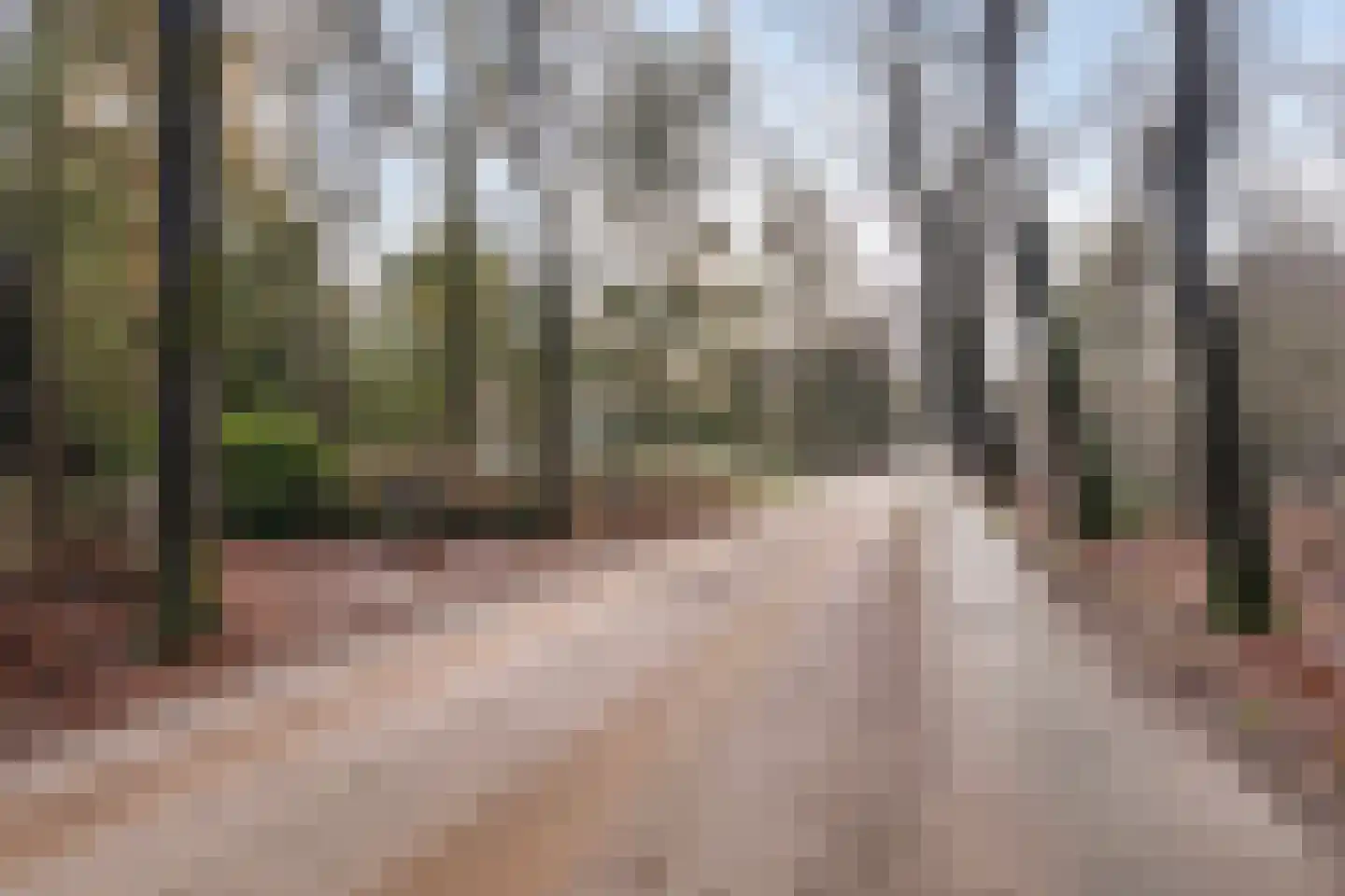 Roessinkweg 28 Hengelo (Gld) thumbnail 40