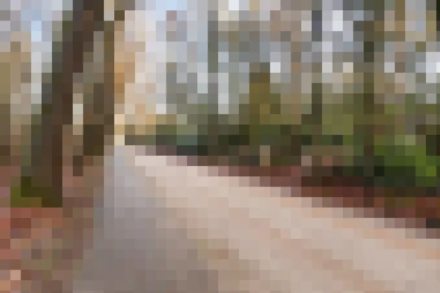 Roessinkweg 28 Hengelo (Gld) thumbnail 41